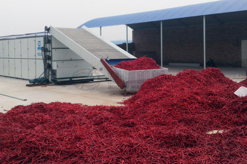 網(wǎng)帶式辣椒烘干機(jī)烘干線(xiàn)椒